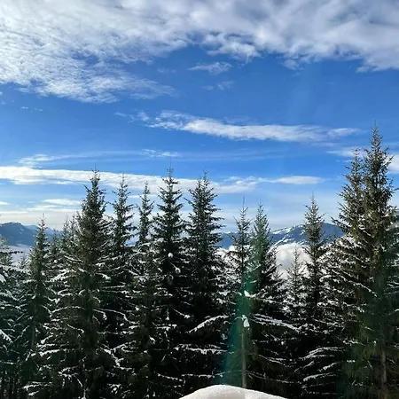 Taurachhof Astlehen Apartmán *