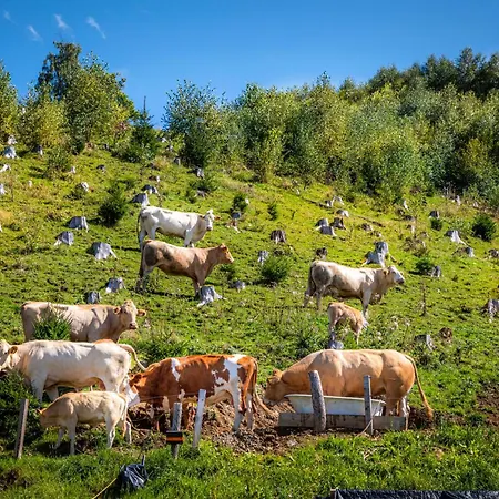 Apartmán Taurachhof Astlehen Alpendorf (Salzburg)