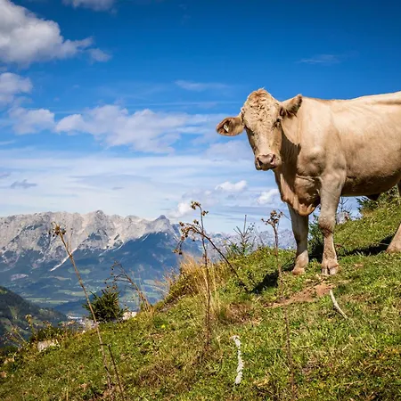 アパート Taurachhof Astlehen アルペンドルフ